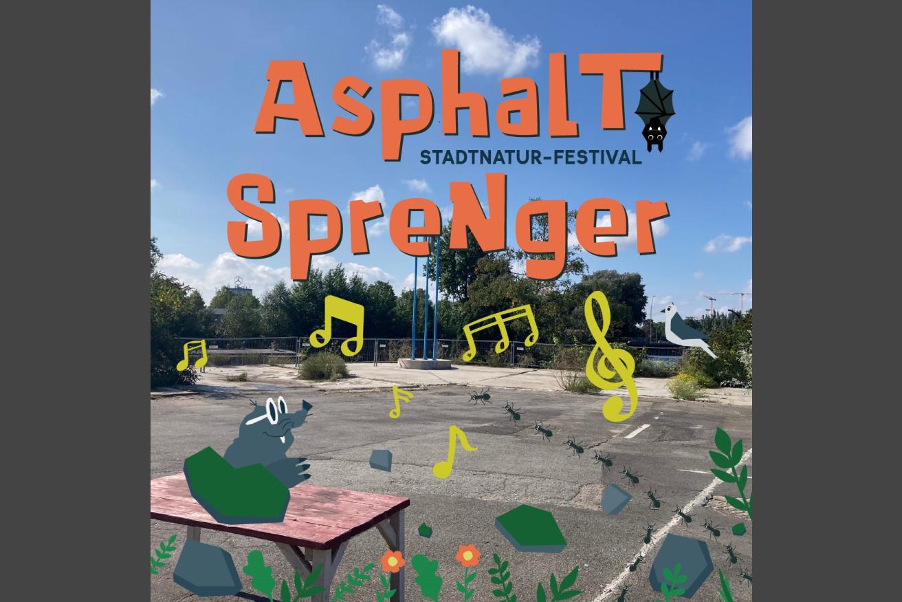 Das Musikprogramm in alphabetischer Reihenfolge