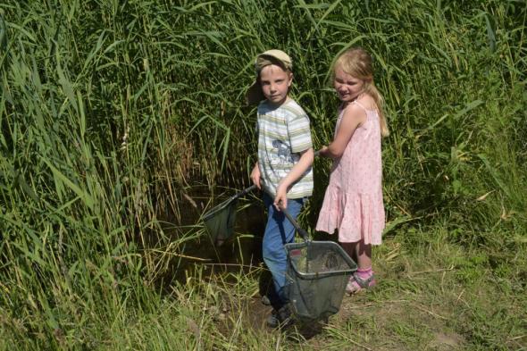 Symbolbild Forschen im Wasserland