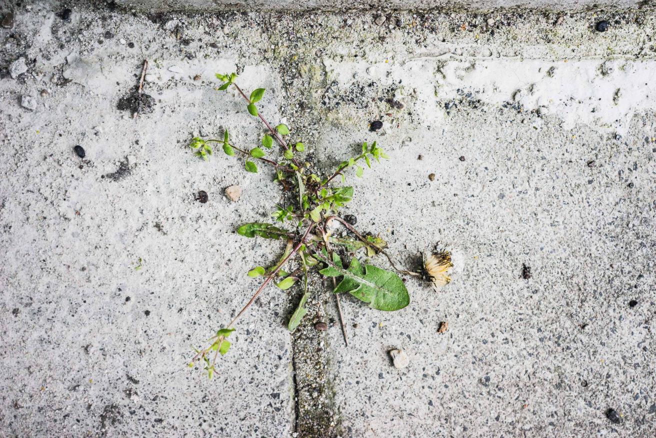 Asphaltsprenger auf dem PARKS-Gelände