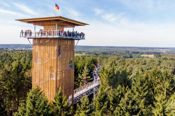 Symbolbild Geführte Tour auf dem Heide-Himmel Baumwipfelpfad 