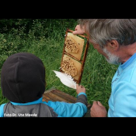 31302_bienen-reit_foto-dr.-ute-meede_10.jpg