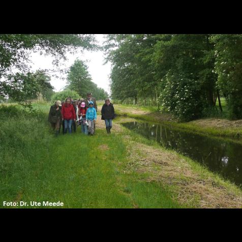 31306_altarm-gose-elbe_foto-dr.-ute-meede_3.jpg