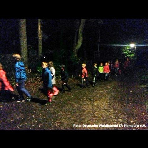41402_deutsche_waldjugend_lv-hh_002.jpg