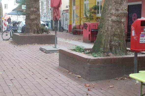 Symbolbild Faszinierende Kräuter-und Baumwelt im bunten Ottensen 