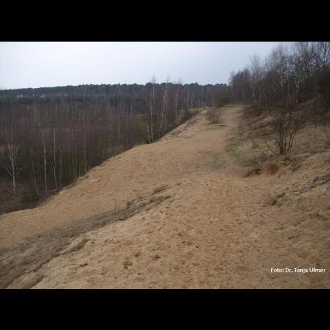 81215_brasschekiesgrube_dr.tanjaulmer1.jpg