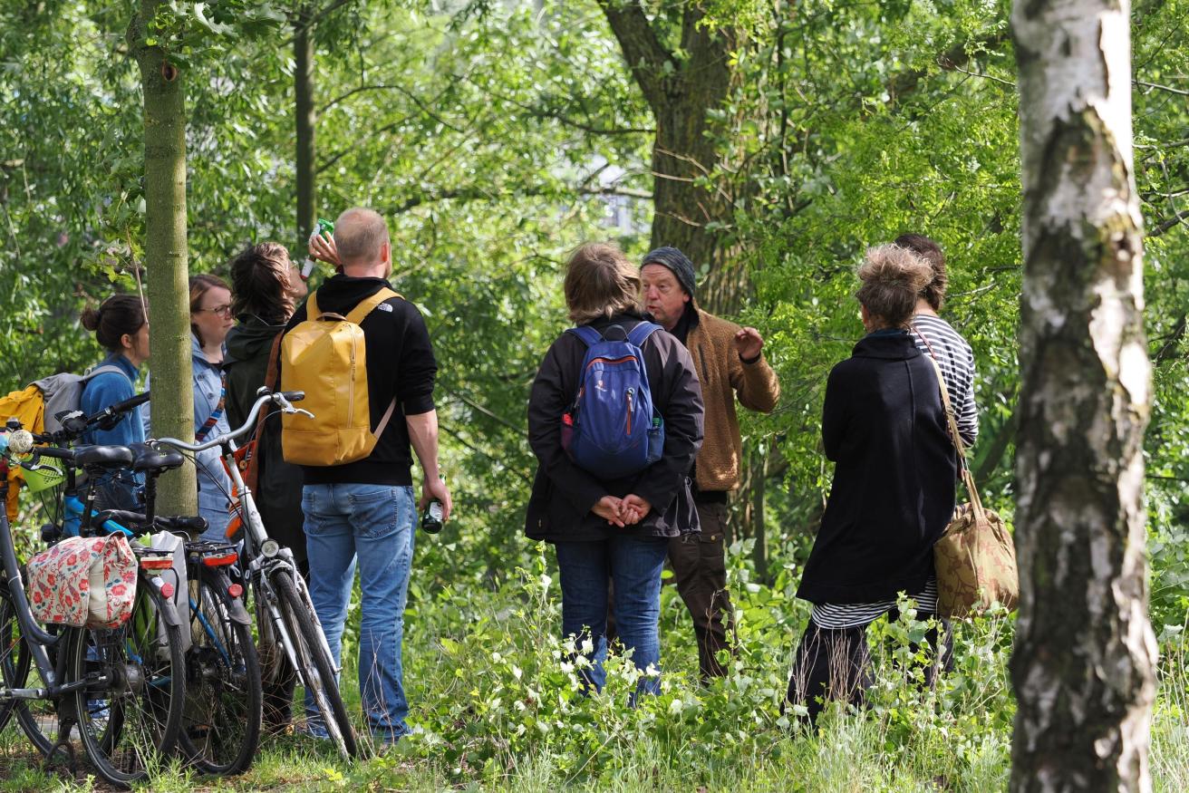 Baumkundliche Führung von Holger Bublitz