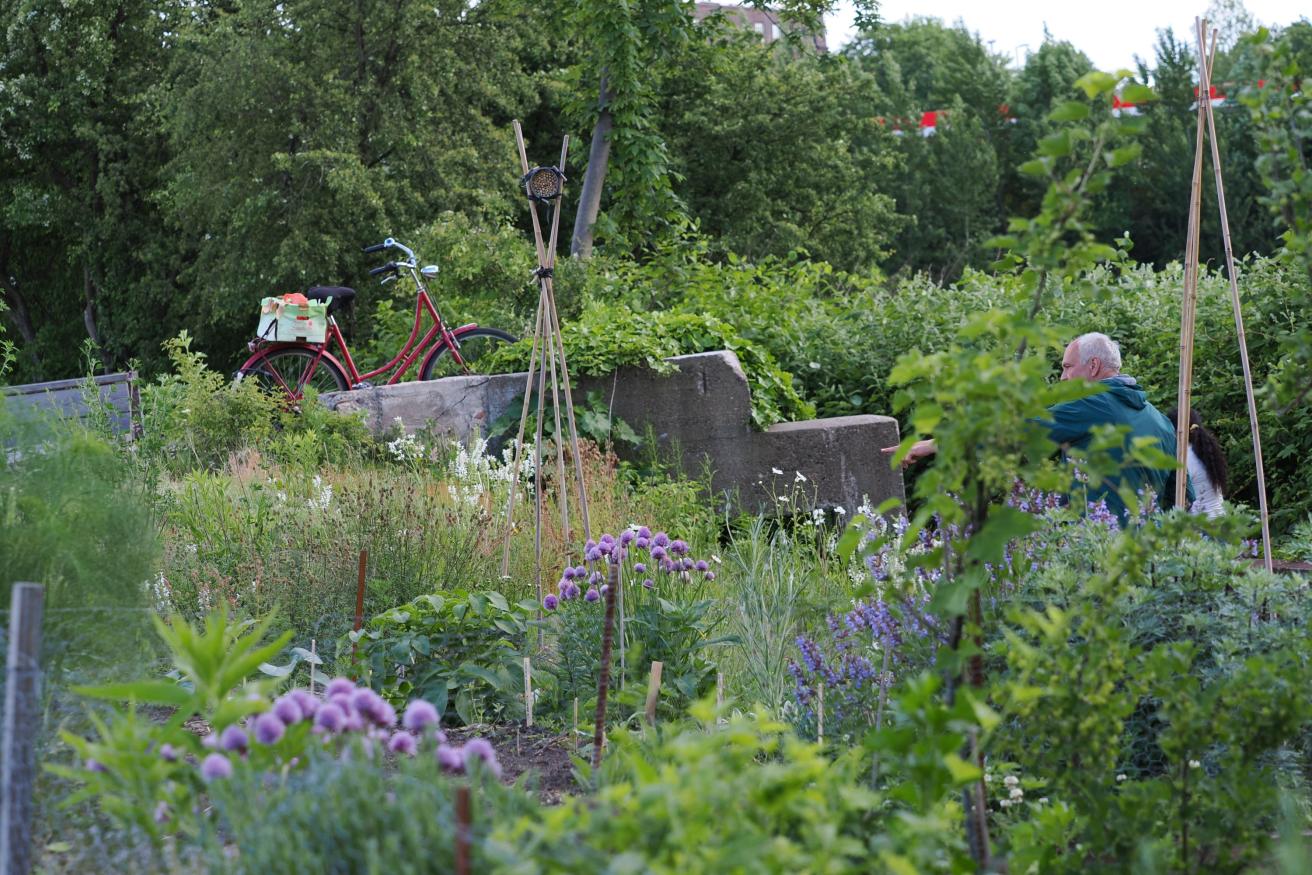 Führung der PARKS-Gärtner*innen