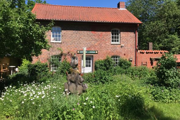 Symbolbild Wunderwelt der Bienen und Wildbienen