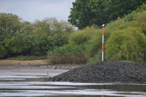 Symbolbild Die Elbe von der Elbe aus