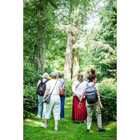 »Baumkundliche Führung«