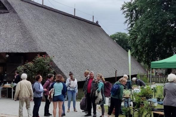 Symbolbild Pflanzenflohmarkt