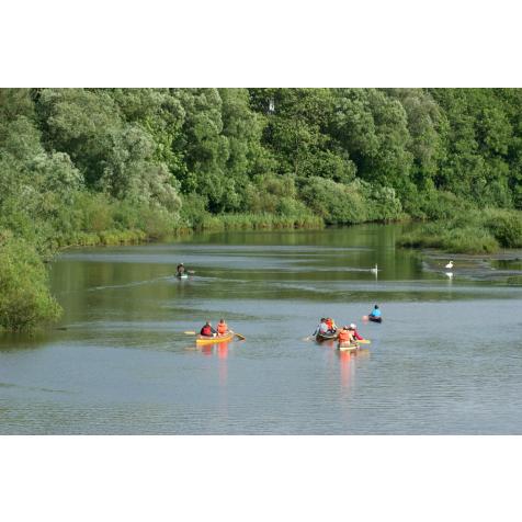 Kanutour Alte Süderelbe