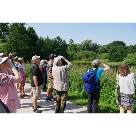 Was fliegt denn da? Auch zahlreiche Führungen rund um die Vogelwelt stehen auf dem Programm