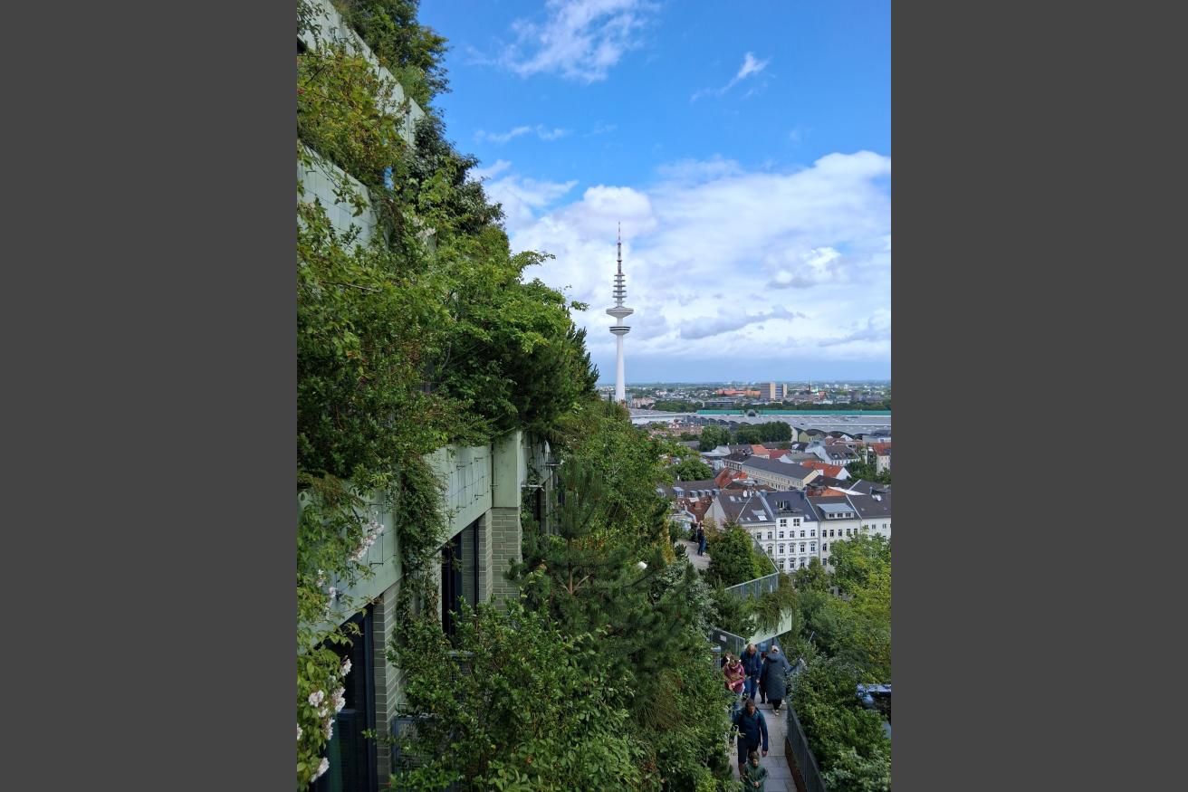 Der grüne Bunker