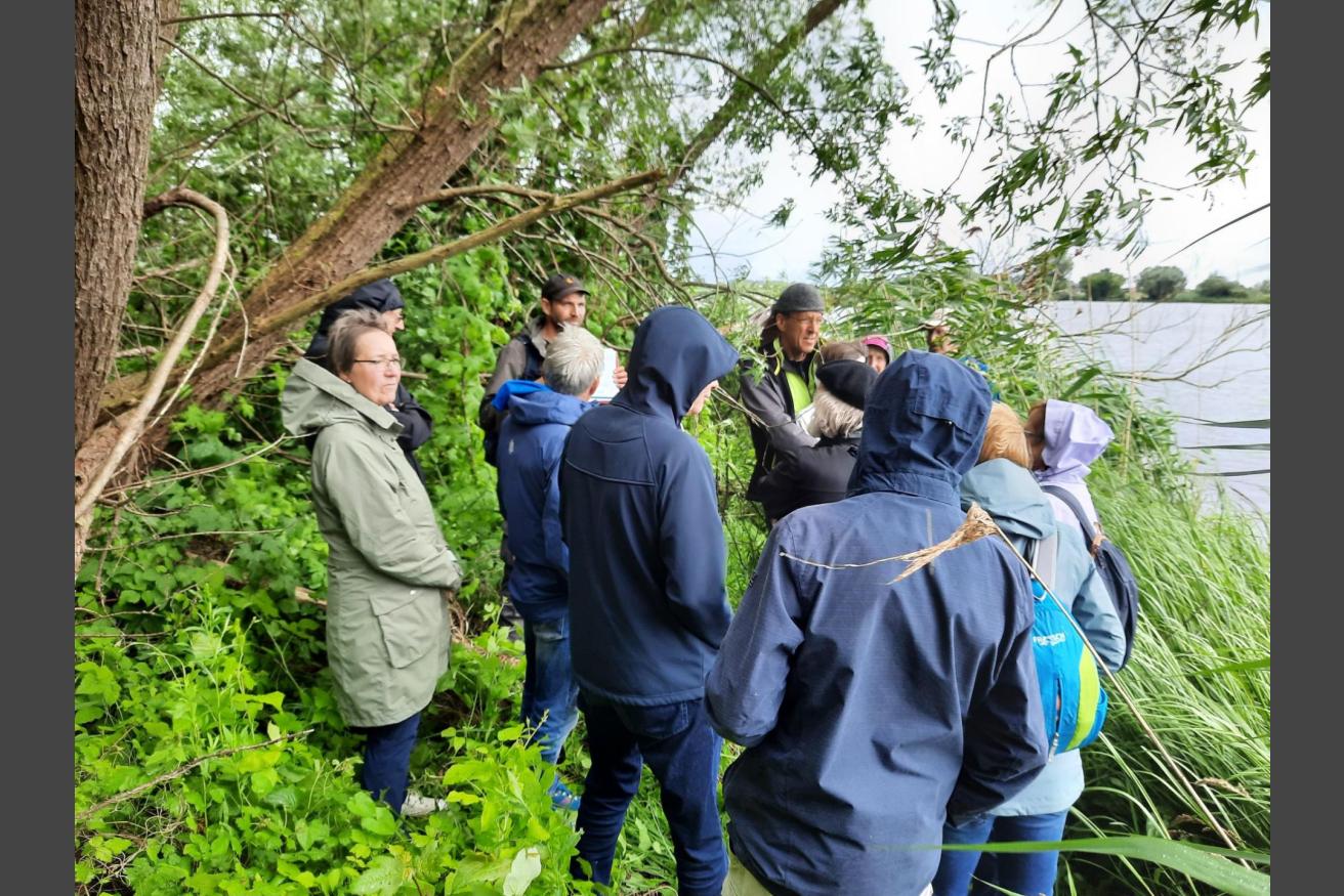 Exkursion zur Fischtreppe in Geesthacht