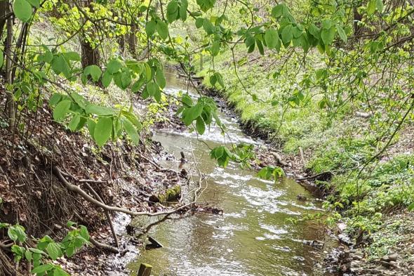 Symbolbild Naturrundgang Wasserwelten in der Hummelsbüttler Feldmark