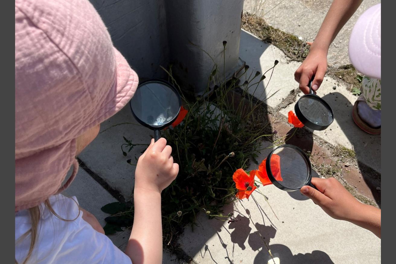 Stadtnatur unter der Lupe