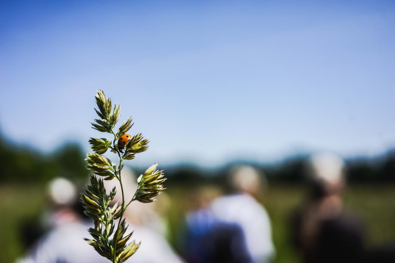 Wildes Leben zwischen Autobahn und Wohngebiet
