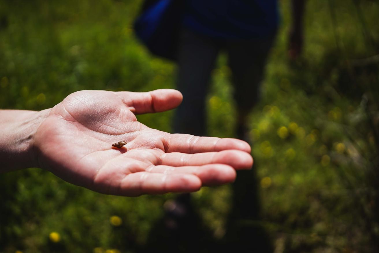 Tag der offenen Tür in der Klimaoase Marmorgarten 