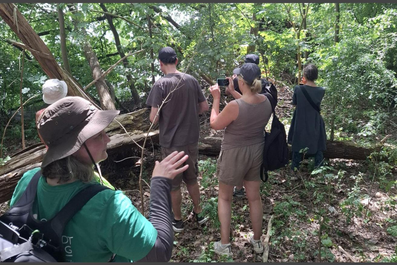 Biberspurensuche am Eichbaumsee