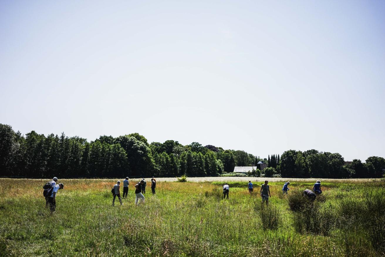 Wildes Leben zwischen Autobahn und Wohngebiet