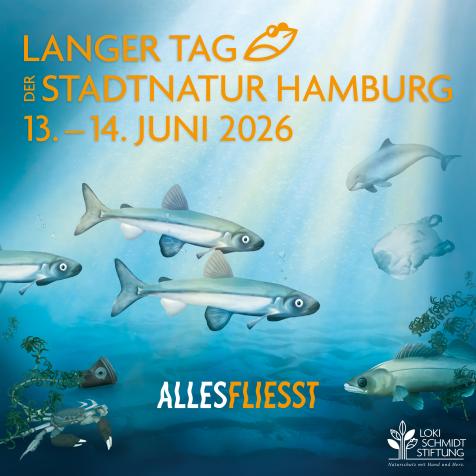 Motiv Langer Tag der StadtNatur Hamburg
