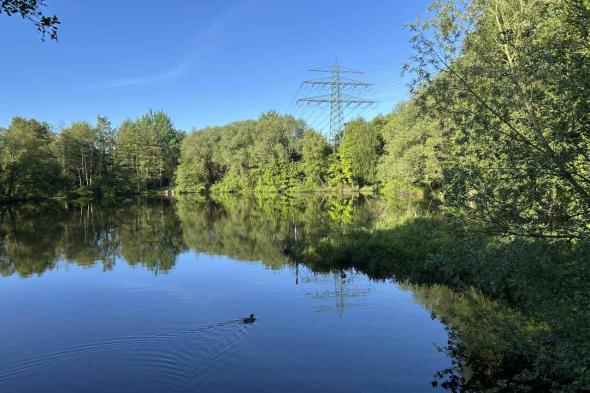 Symbolbild Das Schnelsener Moor - idyllisches Kleinod