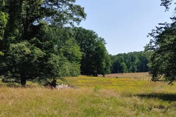 Symbolbild Naturwanderung entlang der Ilmenau