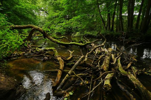 Symbolbild Alles im Fluss?