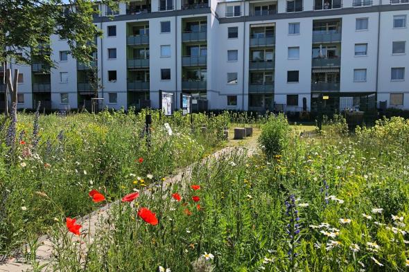 Symbolbild Klimaquartier Rahlstedt-Ost