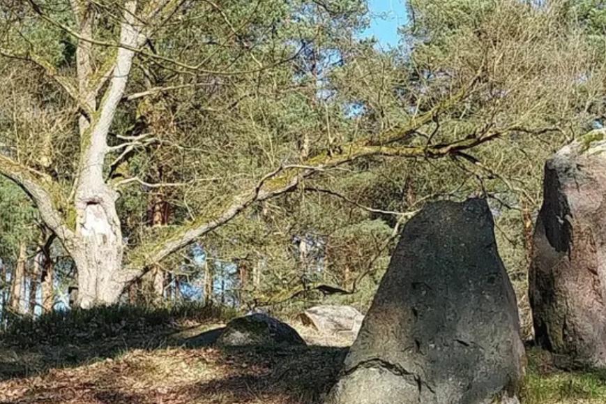 Symbolbild zur Veranstaltung