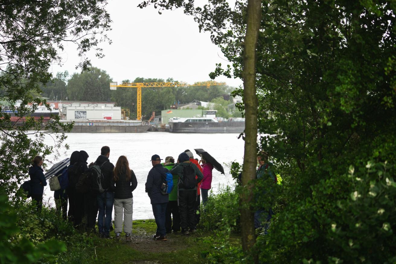 Exkursion in den Tideurwald auf Kaltehofe