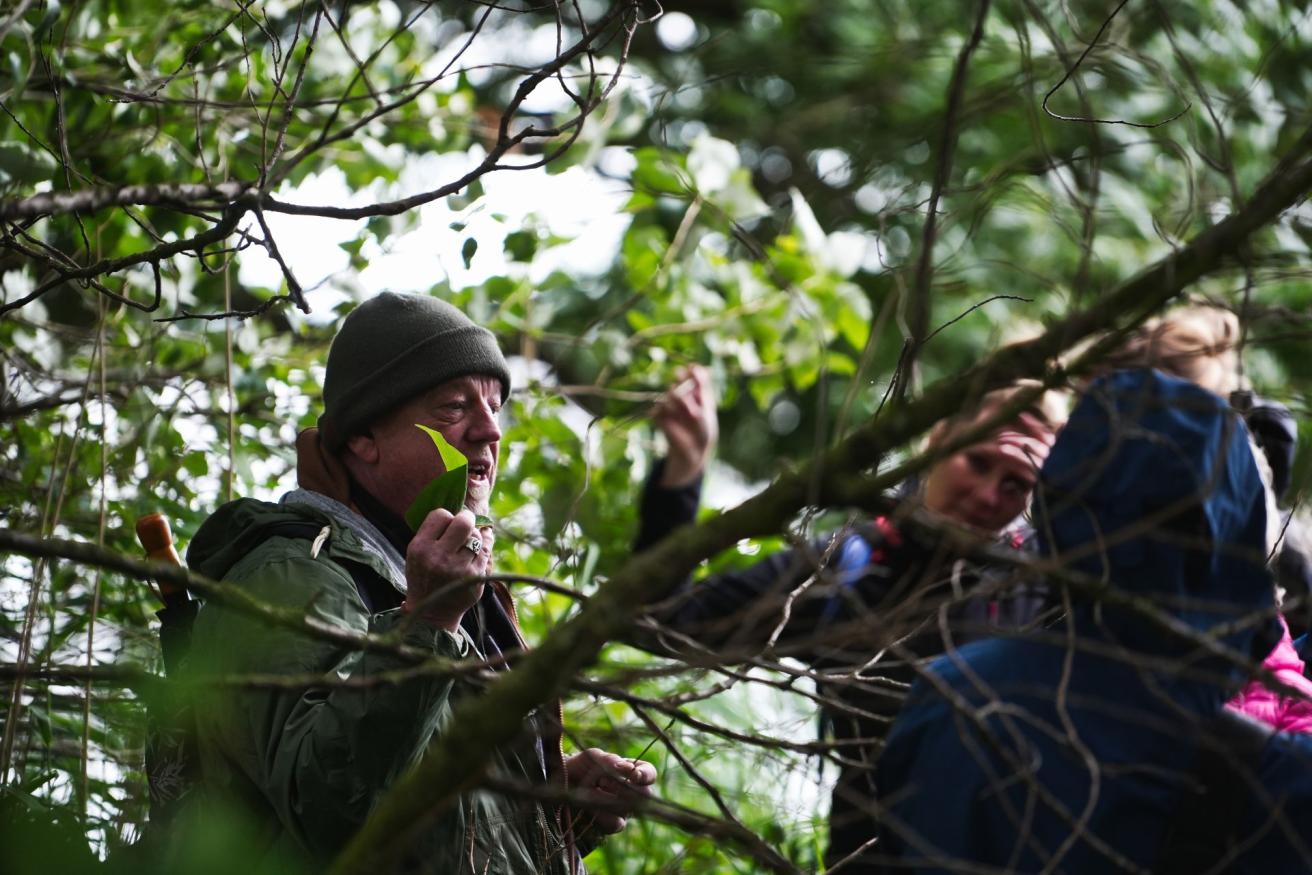 Exkursion in den Tideurwald auf Kaltehofe