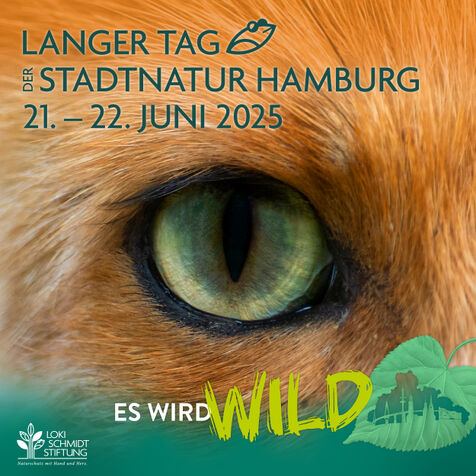 Motiv Langer Tag der StadtNatur 2025