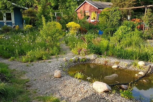 Symbolbild Naturnah gestalteter Kleingarten