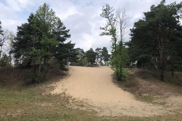 Symbolbild Die Besenhorster Sandberge
