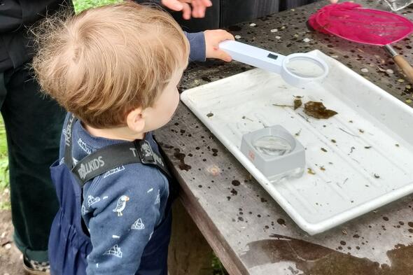 Symbolbild Wilde Wasserwelt?
