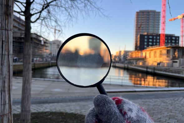 Symbolbild Wilde Stadtnatur unter der Lupe
