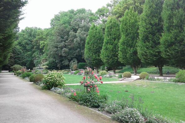 Symbolbild Nature walk through the city park and Winterhude