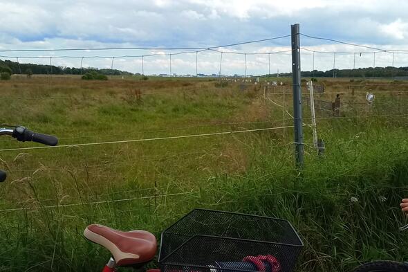 Symbolbild Der Flughafen im Moor - Natur und Technik