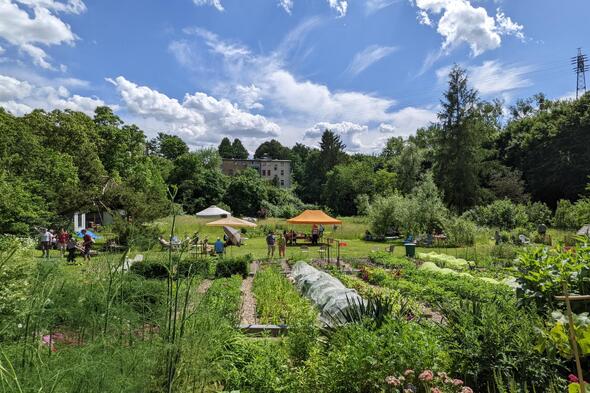 Symbolbild Waschbär, Nutria und Dachs: Wildtiere im Kulturgarten