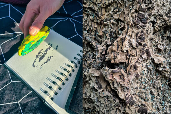 Symbolbild Naturstrukturen entdecken & gestalten