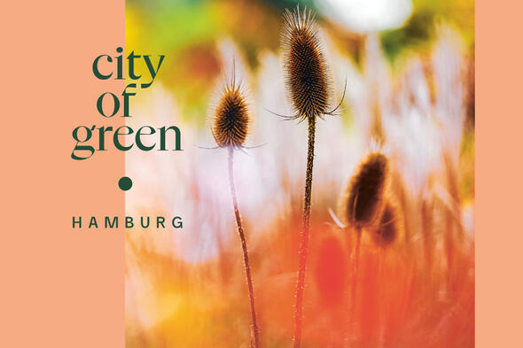 Symbolbild Lesung aus dem Buch »city of green«