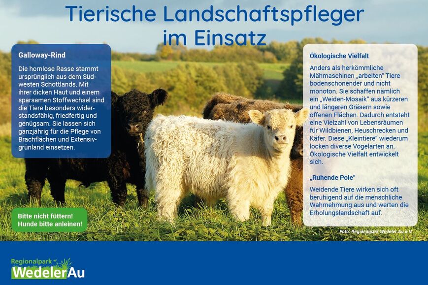 Symbolbild zur Veranstaltung