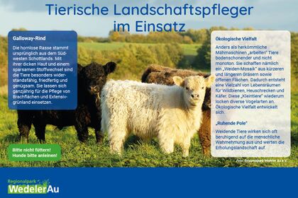 Symbolbild zur Veranstaltung