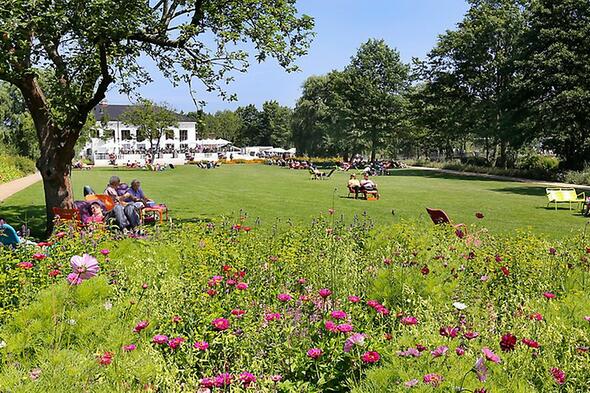 Symbolbild Wilhelmsburger Inselpark und Keltisches Baumhoroskop 