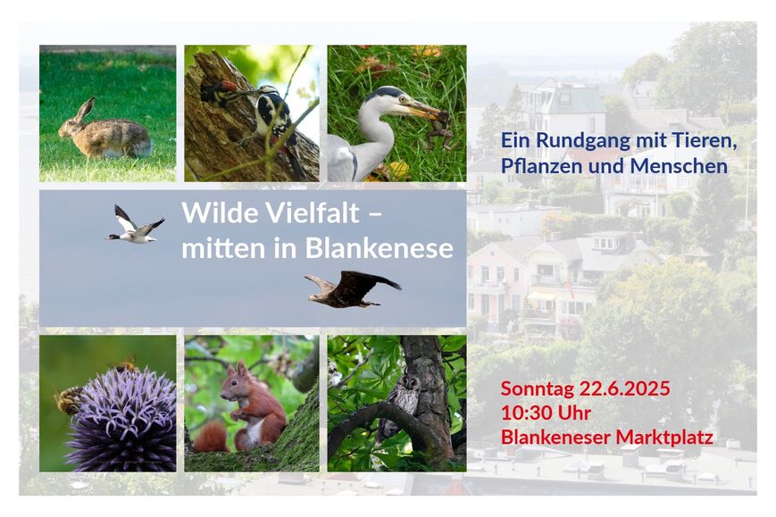Symbolbild zur Veranstaltung