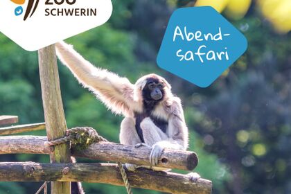 Symbolbild zur Veranstaltung
