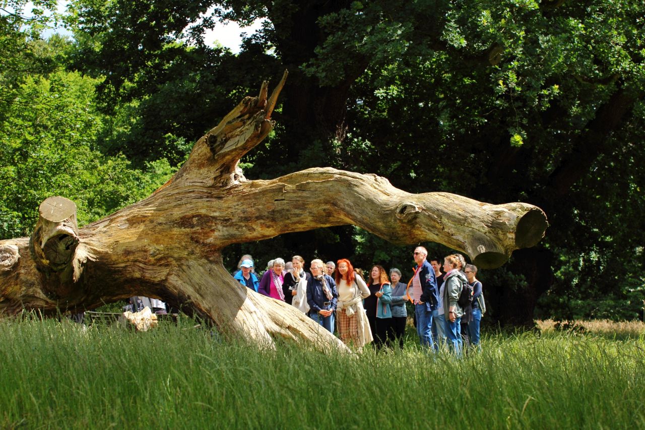 Langer Tag Der StadtNatur Hamburg Start